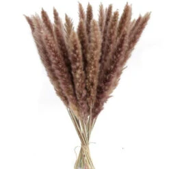 Pas Cher Flore Calme Magasin 29 30pcs Fleurs Séchees Naturelles Brun Herbe Pampas Sechees Décoration Pour Maison Table Balcon Mariage Bouquet De Fleurs Vase-Environs 42-45cm