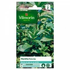 Vilmorin - Menthe Poivrée
