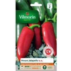 Vilmorin - Piment Jalapeño