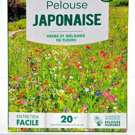 Pelouse Fleurie Japonaise, Gazon Et Mélange De Fleurs. 20 M² 5 Pelouse Fleurie Japonaise, Gazon Et Mélange De Fleurs. 20 M² – Image 3
