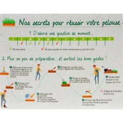 Pelouse Fleurie Japonaise, Gazon Et Mélange De Fleurs. 20 M² 11 Pelouse Fleurie Japonaise, Gazon Et Mélange De Fleurs. 20 M² -Pas Cher Flore Calme Magasin 15011082 5