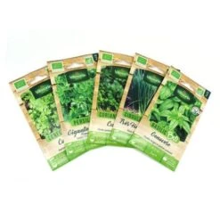 Pack De 5 Sachets Graines Aromatiques BIO : Basilic - Ciboulette -Coriandre - Persil - Cerfeuil