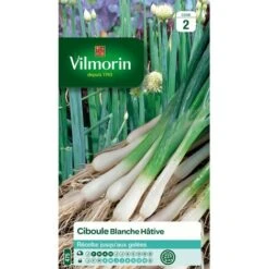 Vilmorin - Ciboule Blanche Hative