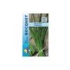 Ciboulette Commune - 1g -Pas Cher Flore Calme Magasin 19043903 1