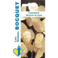 Lunaire Monnaie Du Pape - 2g