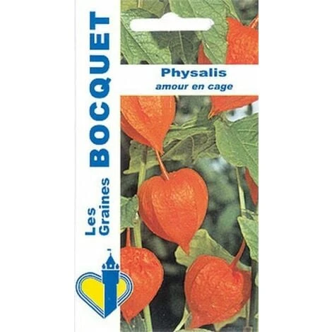 Physalis - Lanterne Chinoise - 0,5g 3 Physalis - Lanterne Chinoise - 0,5g