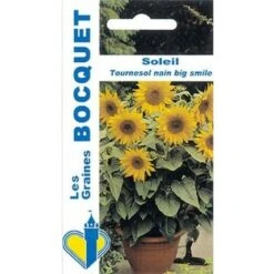 Soleil Tournesol Nain Jaune Big Smile - 3g
