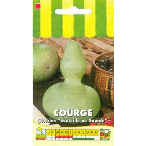 Courge Décorative Pèlerine ( Bouteille Pèlerine ) - 3g 3 Courge Décorative Pèlerine ( Bouteille Pèlerine ) - 3g