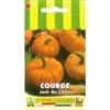 Courge Jack Be Little - 3g -Pas Cher Flore Calme Magasin 19044248 1