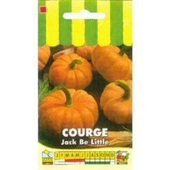 Courge Jack Be Little - 3g