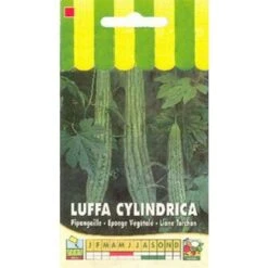Luffa Cylindrica (éponge Végétale) - 1g