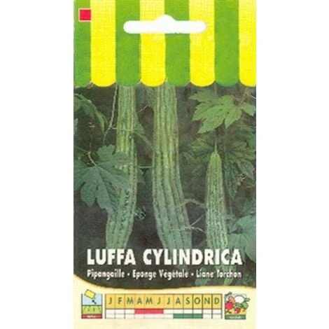Luffa Cylindrica (éponge Végétale) - 1g 3 Luffa Cylindrica (éponge Végétale) - 1g
