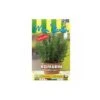 Romarin Officinal - 0,1g 2 Romarin Officinal - 0,1g -Pas Cher Flore Calme Magasin 19044475 1
