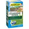 Semence Gazon Express 1 Kg 1 Semence Gazon Express 1 Kg -Pas Cher Flore Calme Magasin 19802269 1