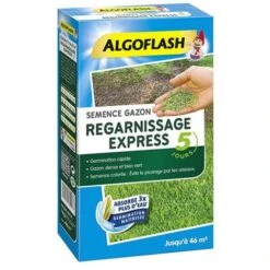 Semence Gazon Express 1 Kg