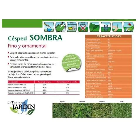 Graines De Gazon à L'ombre 1 Kg 4 Graines De Gazon à L'ombre 1 Kg – Image 2