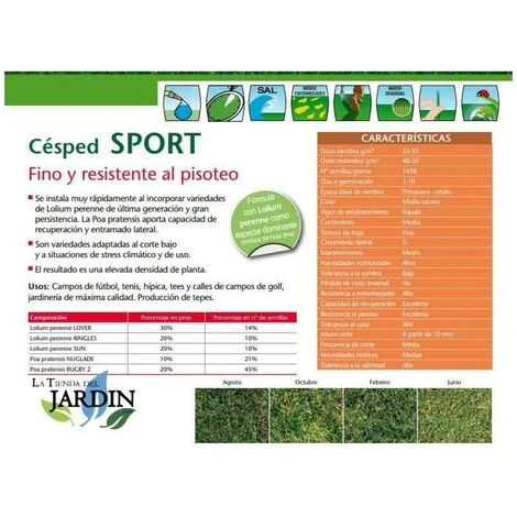 Graines De Gazon 1 Kg Sport 4 Graines De Gazon 1 Kg Sport – Image 2