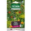 Tezier - Mélange De Fleurs Oubliées -- Fleurs Annuelles -Pas Cher Flore Calme Magasin 27555947 1
