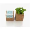 Grow Cube Aimanté Menthe -Pas Cher Flore Calme Magasin 28112584 1