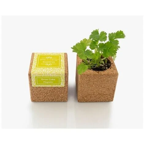 Grow Cube Aimanté Coriandre 3 Grow Cube Aimanté Coriandre