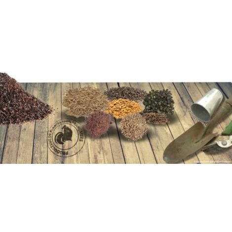 Graines En Mélange De Fleurs 4 Graines En Mélange De Fleurs – Image 2