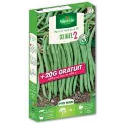 Graines De Haricot Nain Vert Oxinel 2 200grs + 20 Grs Gratuits