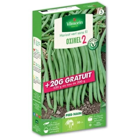 Graines De Haricot Nain Vert Oxinel 2 200grs + 20 Grs Gratuits 3 Graines De Haricot Nain Vert Oxinel 2 200grs + 20 Grs Gratuits