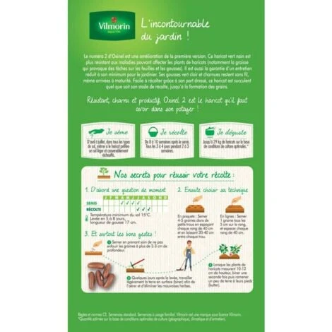 Graines De Haricot Nain Vert Oxinel 2 200grs + 20 Grs Gratuits 4 Graines De Haricot Nain Vert Oxinel 2 200grs + 20 Grs Gratuits – Image 2