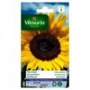 Vilmorin - Soleil Tournesol Fleur Géante -Pas Cher Flore Calme Magasin 28401631 1
