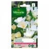 Vilmorin - Eschscholtzia Blanc 2 Vilmorin - Eschscholtzia Blanc -Pas Cher Flore Calme Magasin 28401632 1