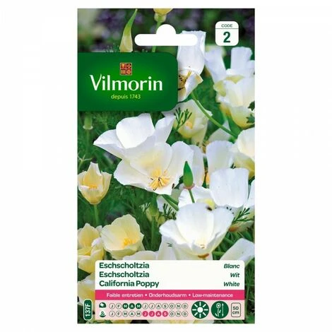 Vilmorin - Eschscholtzia Blanc 3 Vilmorin - Eschscholtzia Blanc
