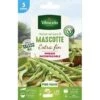 Vilmorin - Haricot Vert Sans Fil MASCOTTE Extra Fin ( 5 Mètres ) -Pas Cher Flore Calme Magasin 28401741 1