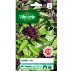 Vilmorin - Basilic Thai Vl 2 462