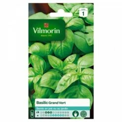Vilmorin - Basilic Grand Vert