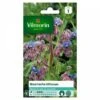 Vilmorin - Bourrache Officinale