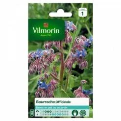 Vilmorin - Bourrache Officinale