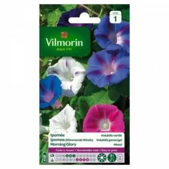 Vilmorin - Ipomée Volubilis Variée