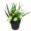 Plante Artificielle Fleur Artificielle Plante Verte Artificielle En Pot Fleur Artificielle Clivia Chlorophytum Plante En Pot Ornement Décoratif Fleur Artificielle (jaune) -Pas Cher Flore Calme Magasin 28975905 1