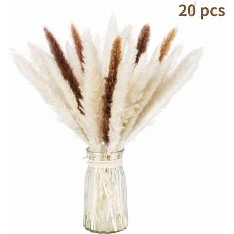 LangRay Lot Séché Naturel D'herbe De Pampa Sèche Pour La Décoration Intérieure 20 Pièces (blanc + Marron) 3 LangRay Lot Séché Naturel D'herbe De Pampa Sèche Pour La Décoration Intérieure 20 Pièces (blanc + Marron)