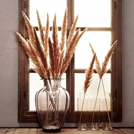 LangRay Lot Séché Naturel D'herbe De Pampa Sèche Pour La Décoration Intérieure 20 Pièces (blanc + Marron) 4 LangRay Lot Séché Naturel D'herbe De Pampa Sèche Pour La Décoration Intérieure 20 Pièces (blanc + Marron) – Image 2