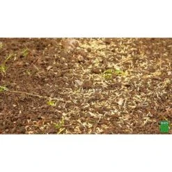 BHS GRP1 1kg 50 M² Semence Gazon Regarnissage Et Engrais Gazon Plus Résistant Et Mieux Protégé Rapide Et Durable Tous Types De Terrain Et Climats 10 BHS GRP1 1kg 50 M² Semence Gazon Regarnissage Et Engrais Gazon Plus Résistant Et Mieux Protégé Rapide Et Durable Tous Types De Terrain Et Climats -Pas Cher Flore Calme Magasin 30407883 4