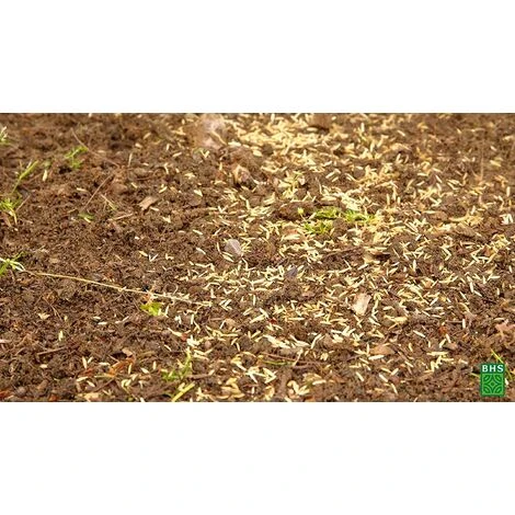 BHS GRP1 1kg 50 M² Semence Gazon Regarnissage Et Engrais Gazon Plus Résistant Et Mieux Protégé Rapide Et Durable Tous Types De Terrain Et Climats 6 BHS GRP1 1kg 50 M² Semence Gazon Regarnissage Et Engrais Gazon Plus Résistant Et Mieux Protégé Rapide Et Durable Tous Types De Terrain Et Climats – Image 4