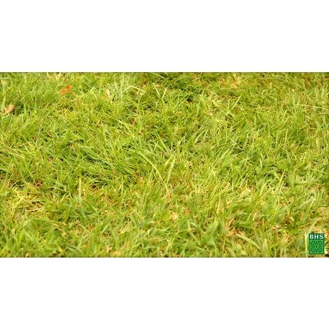 BHS GRP1 1kg 50 M² Semence Gazon Regarnissage Et Engrais Gazon Plus Résistant Et Mieux Protégé Rapide Et Durable Tous Types De Terrain Et Climats 7 BHS GRP1 1kg 50 M² Semence Gazon Regarnissage Et Engrais Gazon Plus Résistant Et Mieux Protégé Rapide Et Durable Tous Types De Terrain Et Climats – Image 5