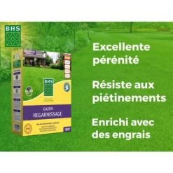 BHS GRP3 3kg 150 M² Semence Gazon Regarnissage Et Engrais   Gazon Plus Résistant Et Mieux Protégé Rapide Et Durable Tous Types De Terrain Et Climats 479 -Pas Cher Flore Calme Magasin 30982491 3