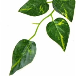 LangRay 5 Pièces De Plantes Suspendues Artificielles, 90 Cm De Faux Lierre Suspendu Feuilles Vertes De Scindapsus Pour La Décoration -Pas Cher Flore Calme Magasin 31489967 3