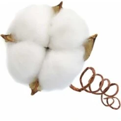 AIDUCHO Branche De Coton Tige Naturelle Ferme Fleurs Séchées Branches De Coton Plante De Coton Fleurs Séchées Artificielles (20 Pièces) -Pas Cher Flore Calme Magasin 32529653 3