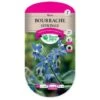 Bourrache Officinale