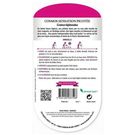 Cosmos Sensation Picotée 4 Cosmos Sensation Picotée – Image 2