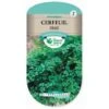Graine Cerfeuil Frisé -Pas Cher Flore Calme Magasin 36494772 1