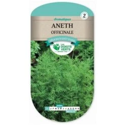 Graine Aneth Officinale